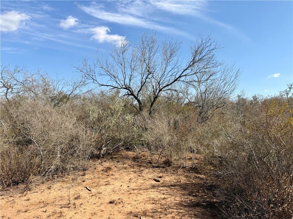 34.91 acres in Duval County - photo 32