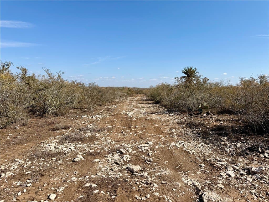 34.91 acres in Duval County - photo 13