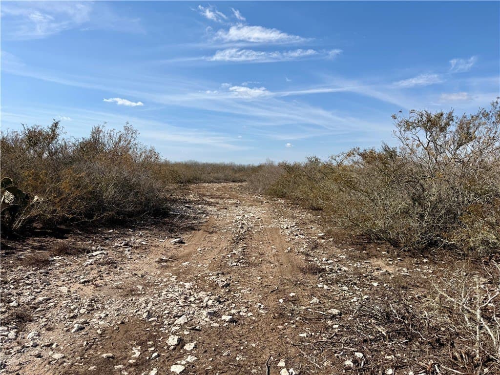 34.91 acres in Duval County - photo 15