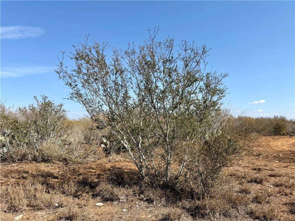 34.91 acres in Duval County - photo 5