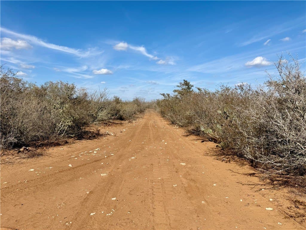 34.91 acres in Duval County - photo 19