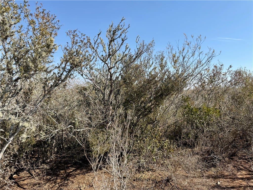 34.91 acres in Duval County - photo 7