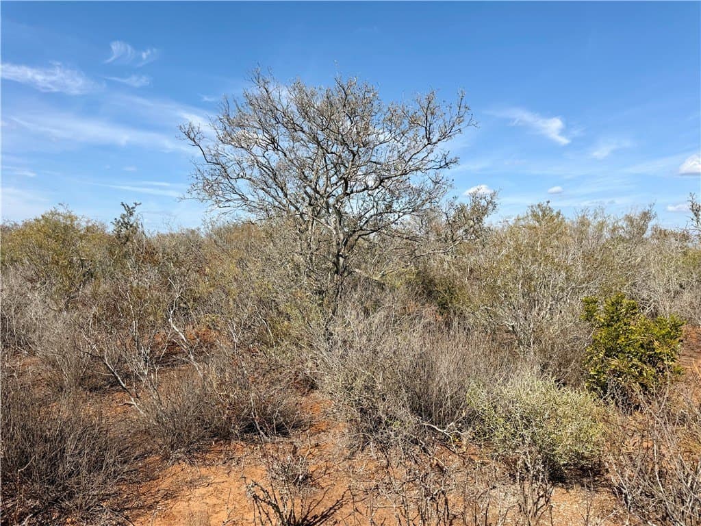 34.91 acres in Duval County - photo 25