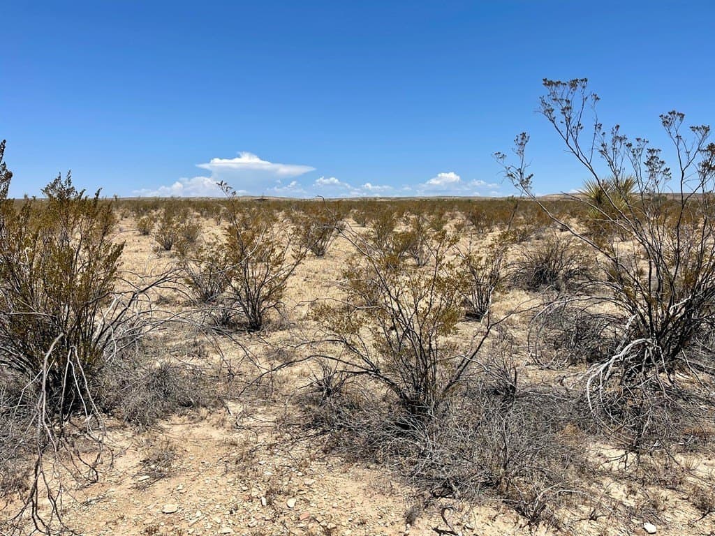 5 acres in Brewster County - photo 4