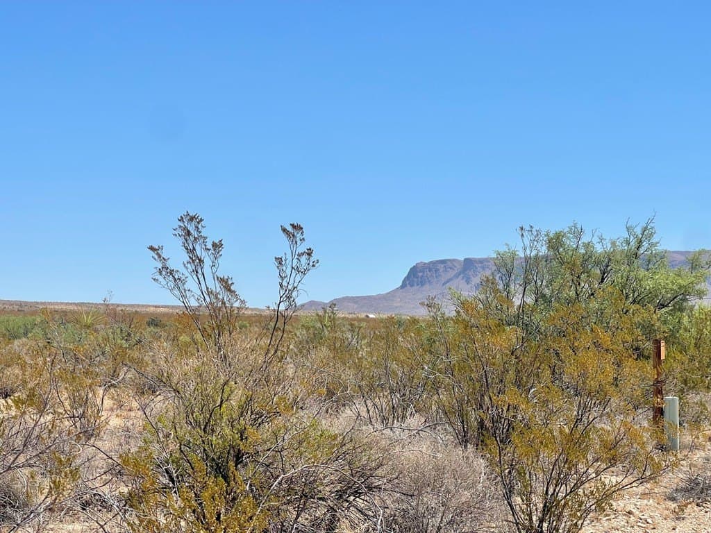 5 acres in Brewster County - photo 6
