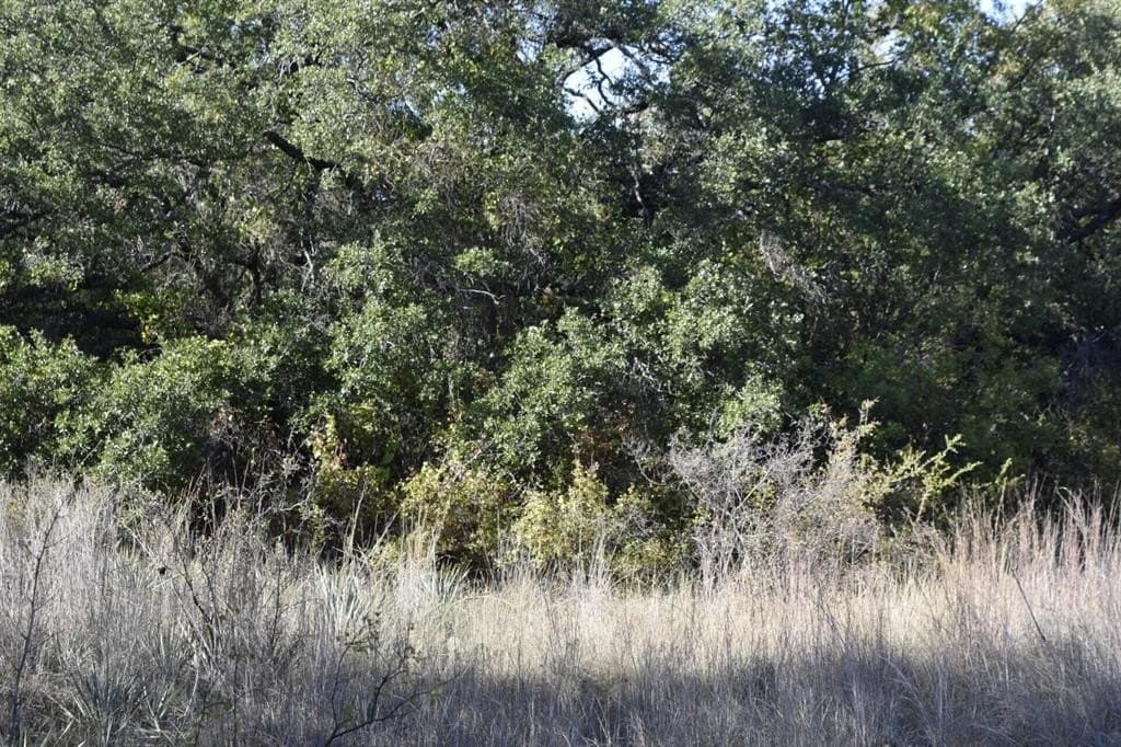 0.35 acres in Brown County - photo 25