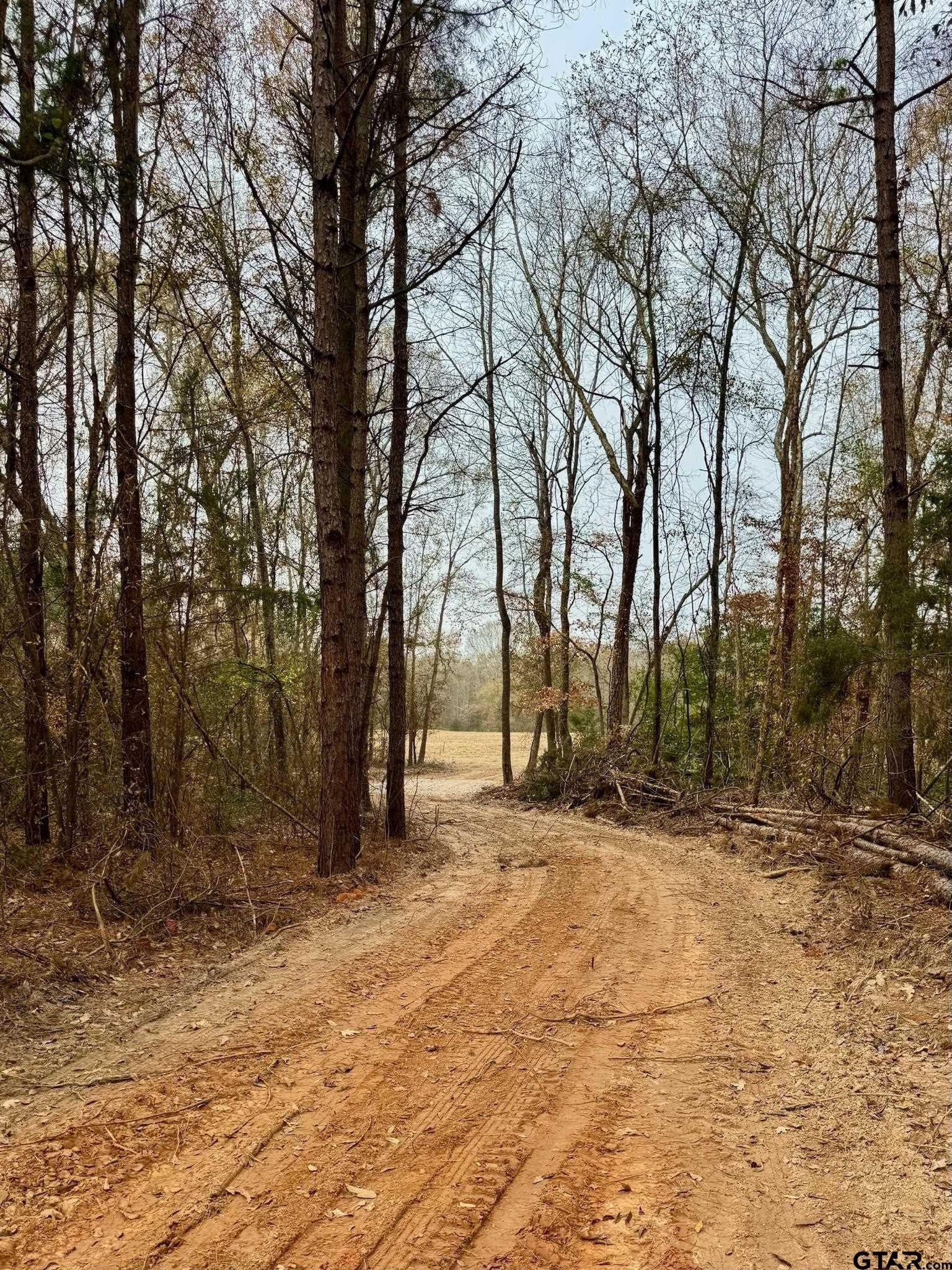 10.1 acres in Cherokee County - photo 3