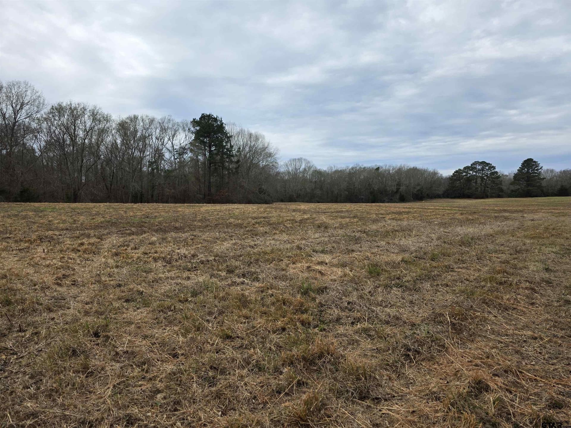 10.1 acres in Cherokee County - photo 6