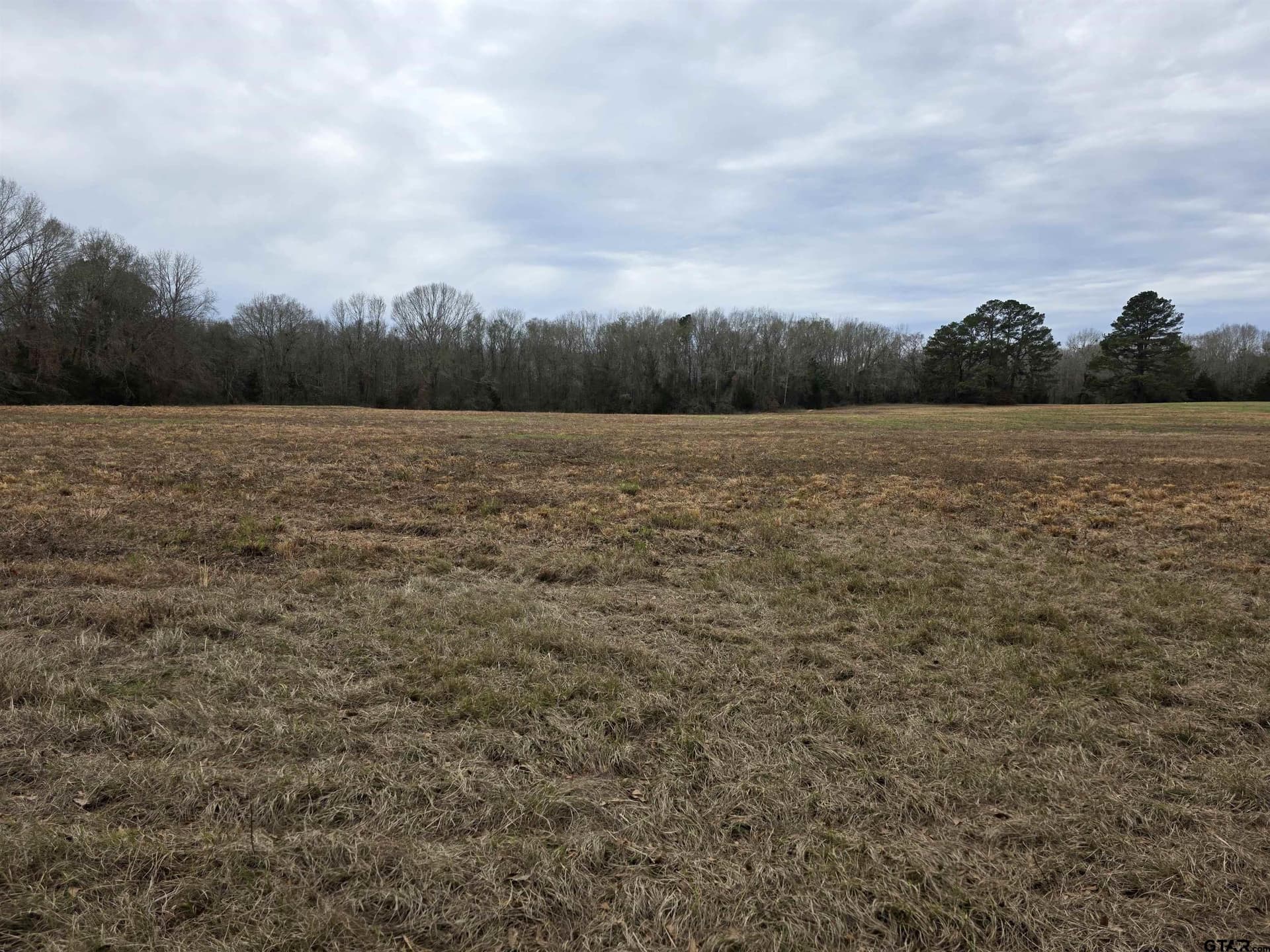 10.1 acres in Cherokee County - photo 5