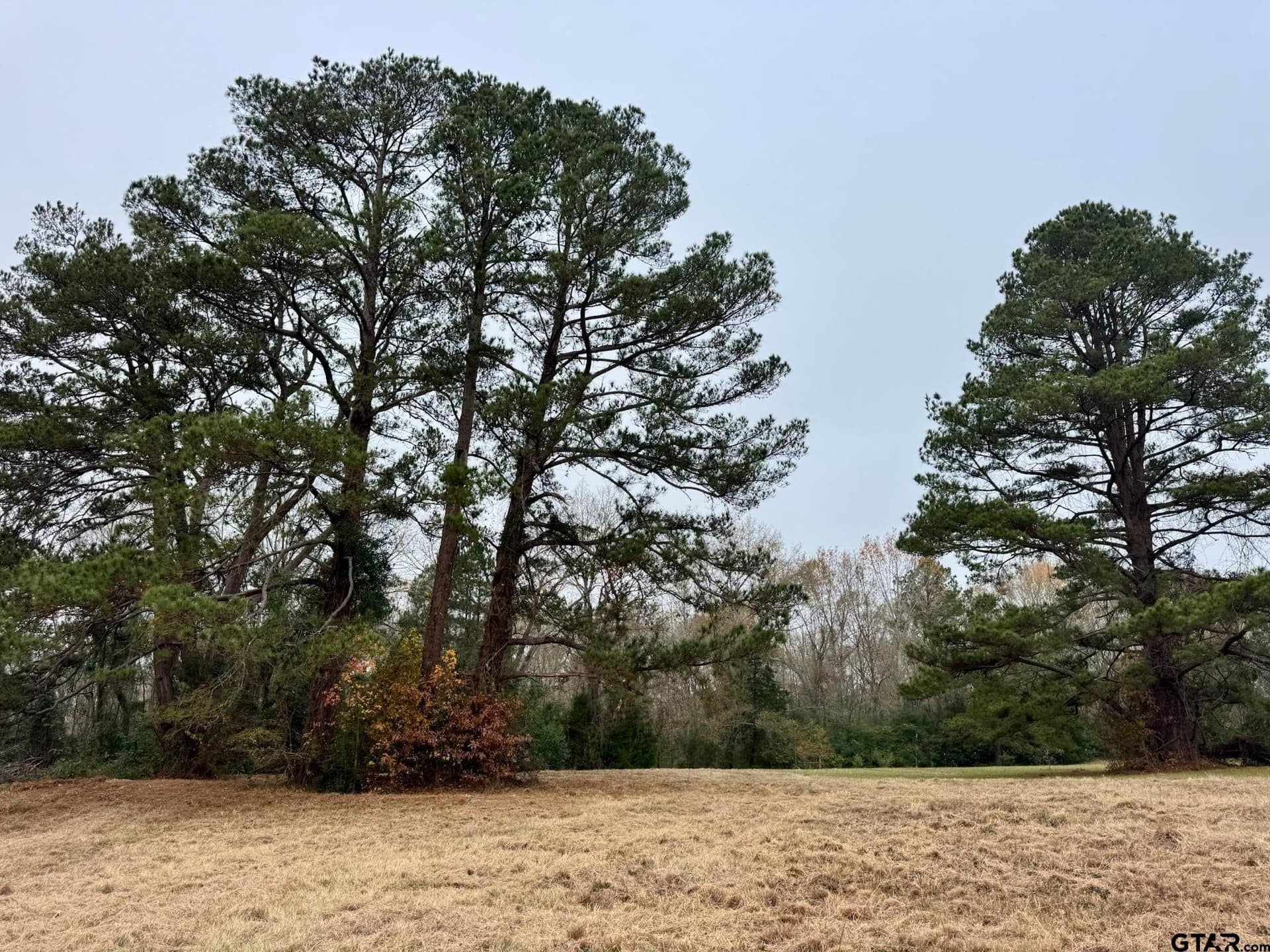 10.1 acres in Cherokee County - photo 7