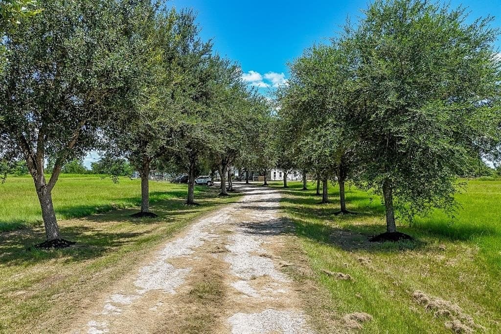 11.24 acres in Waller County - photo 3