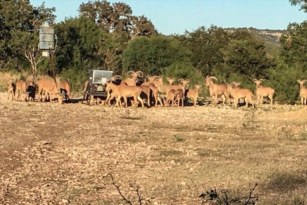 0 acres in Texas County - photo 31