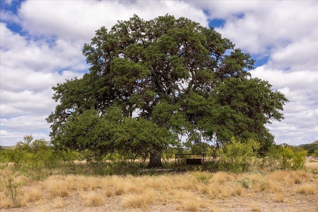 0 acres in Texas County - photo 32