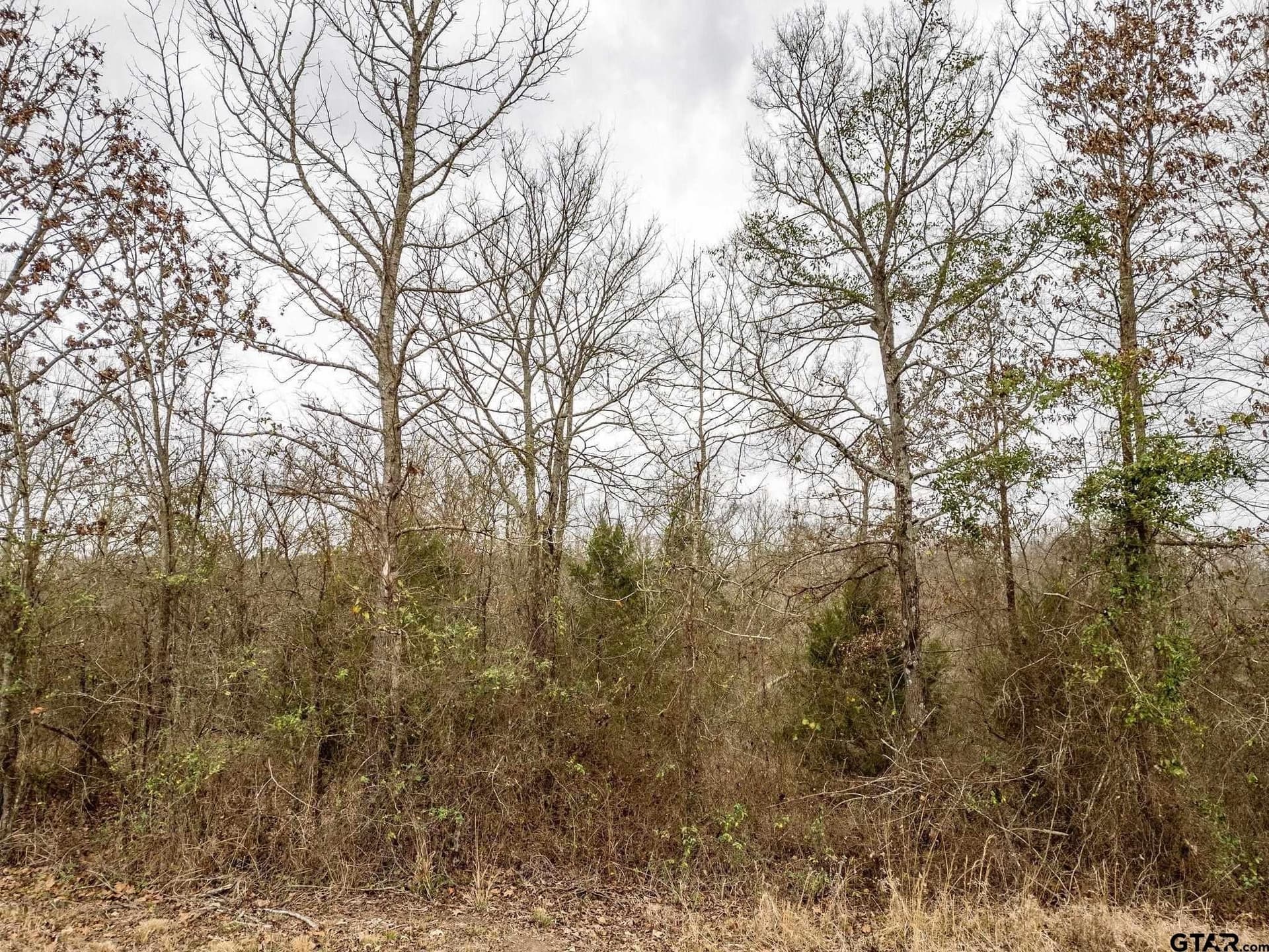 20 acres in Upshur County - photo 10