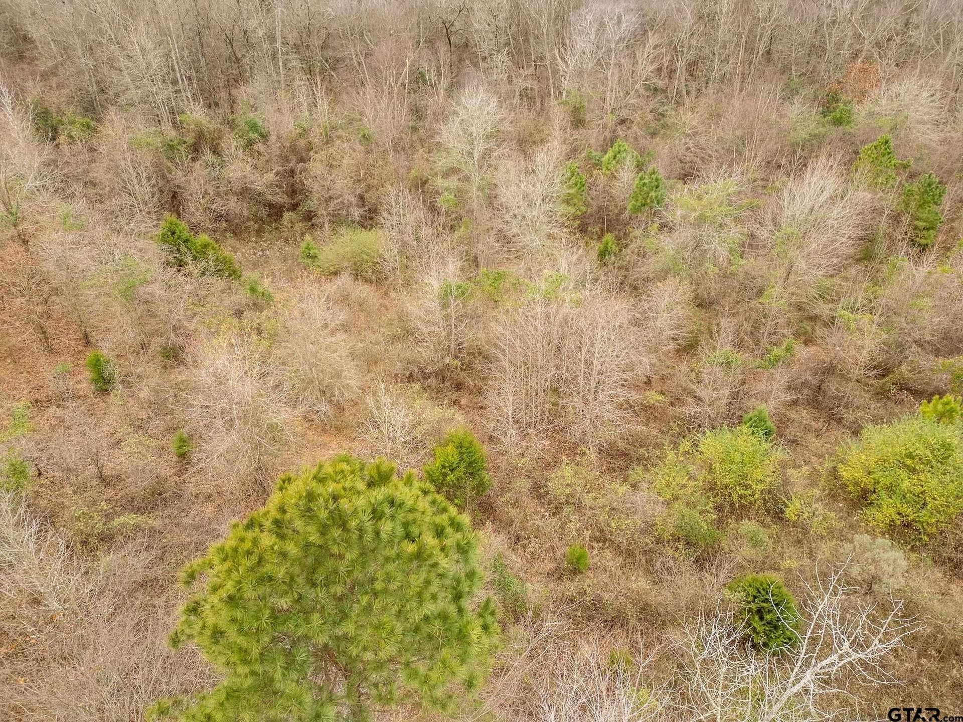 20 acres in Upshur County - photo 11