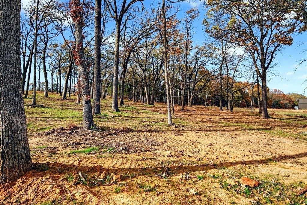 1 acres in Grayson County - photo 16