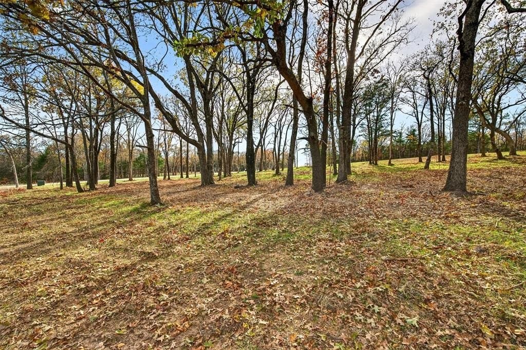 1 acres in Grayson County - photo 15
