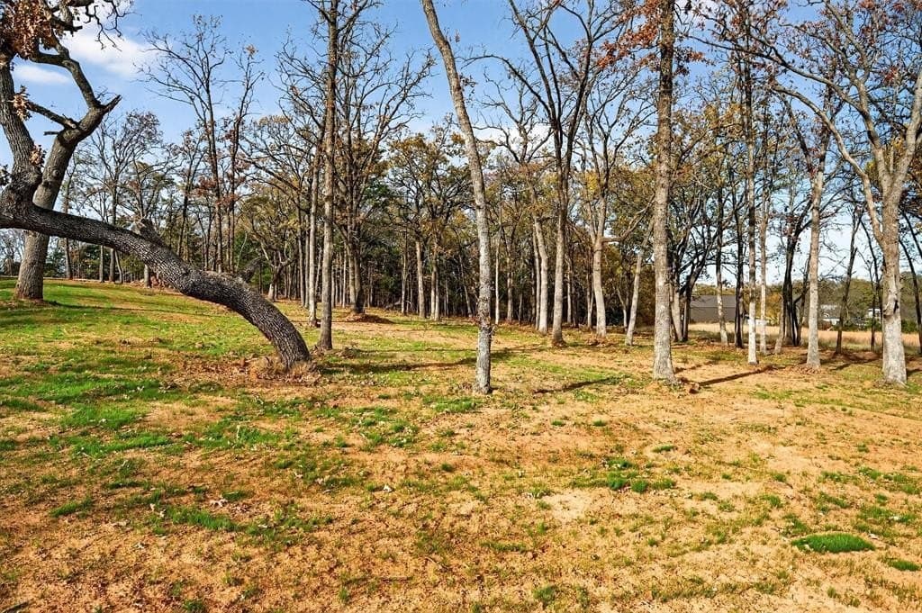 1 acres in Grayson County - photo 17