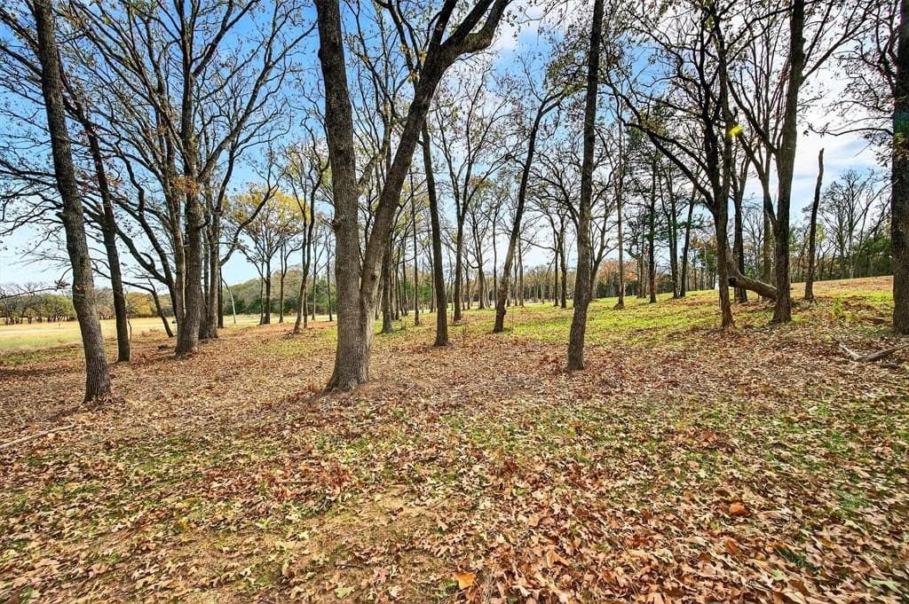 1 acres in Grayson County - photo 14