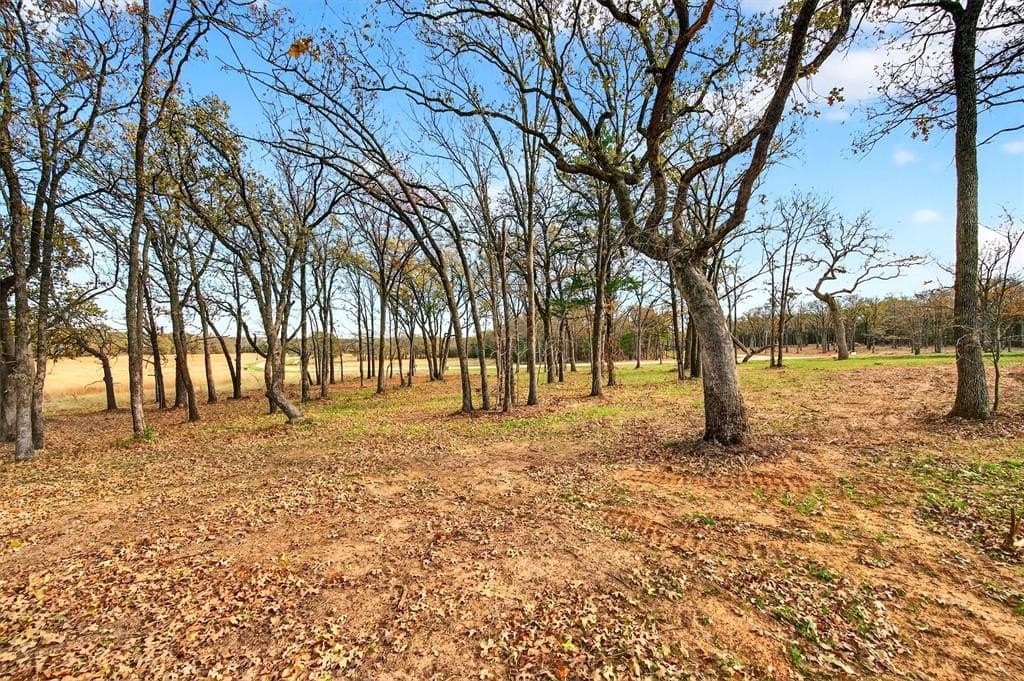 1 acres in Grayson County - photo 13