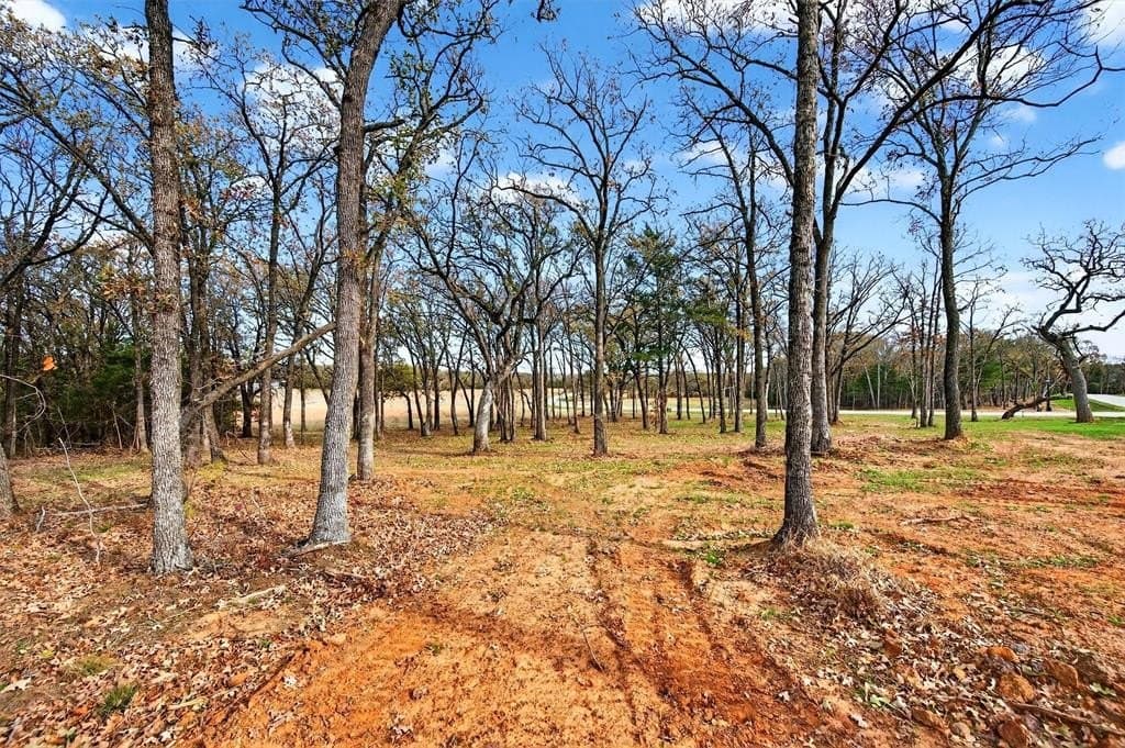 1 acres in Grayson County - photo 12