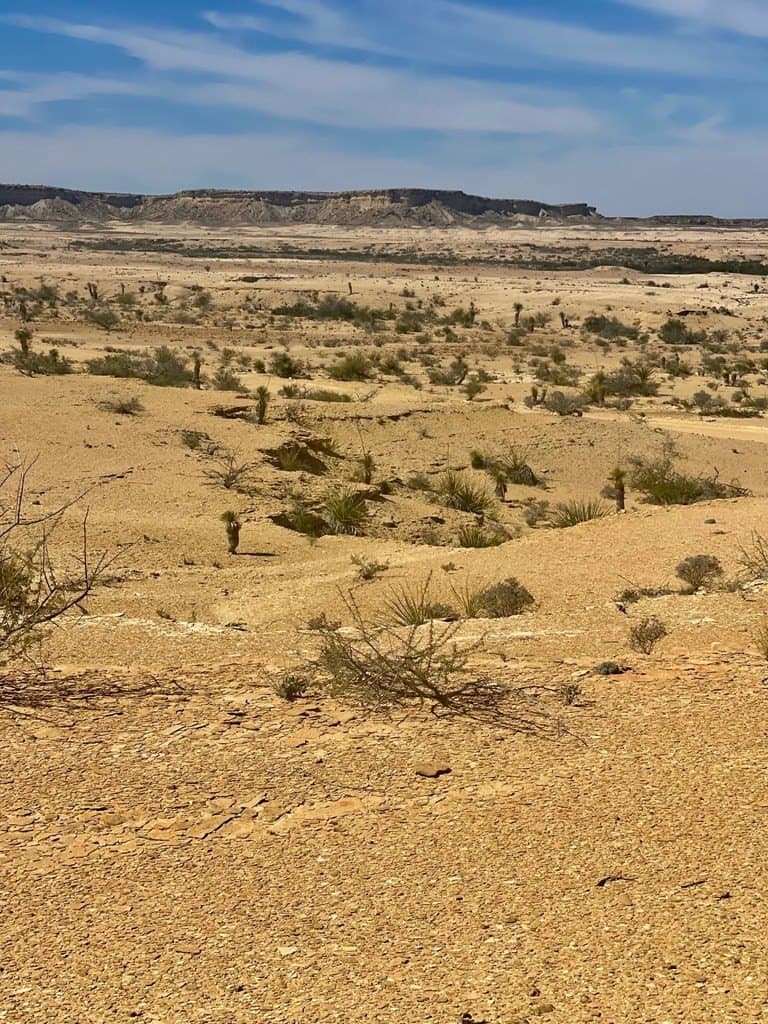 5 acres in Brewster County - photo 11