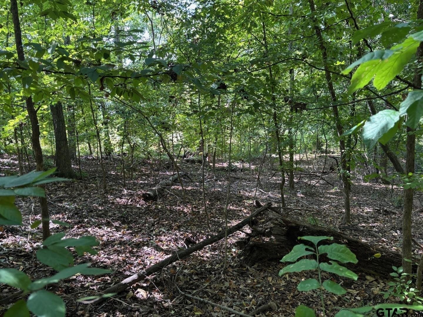 0.5 acres in Smith County - photo 2