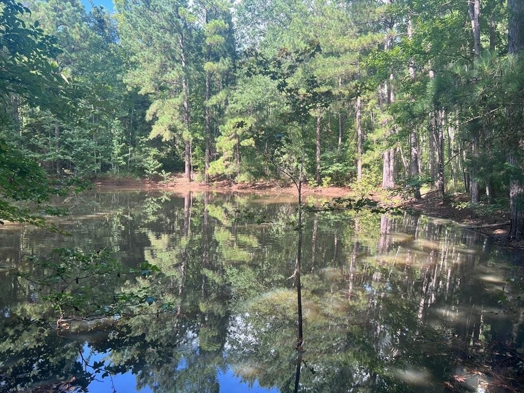 50 acres in ANDERSON County - photo 2