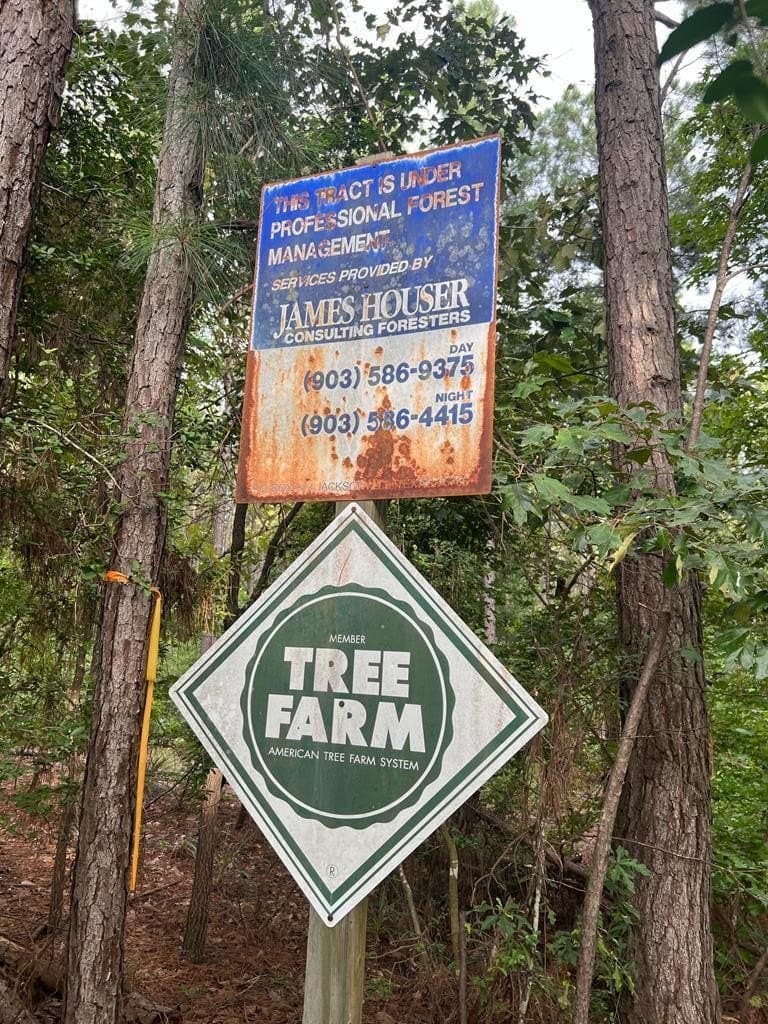 50 acres in ANDERSON County - photo 12