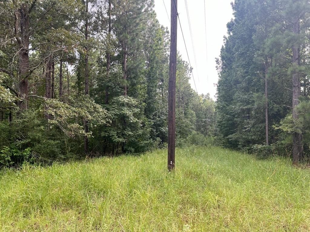 50 acres in ANDERSON County - photo 11