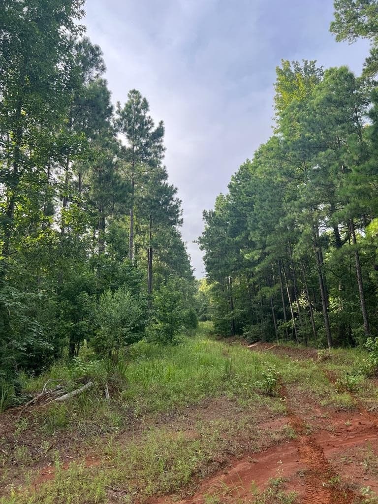 50 acres in ANDERSON County - photo 3