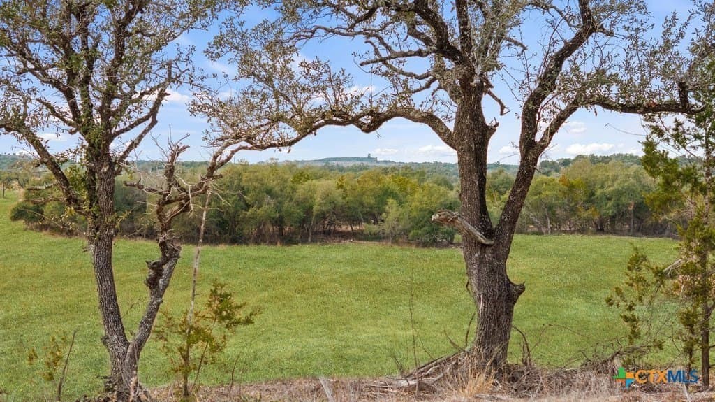 11.74 acres in Hays County - photo 3