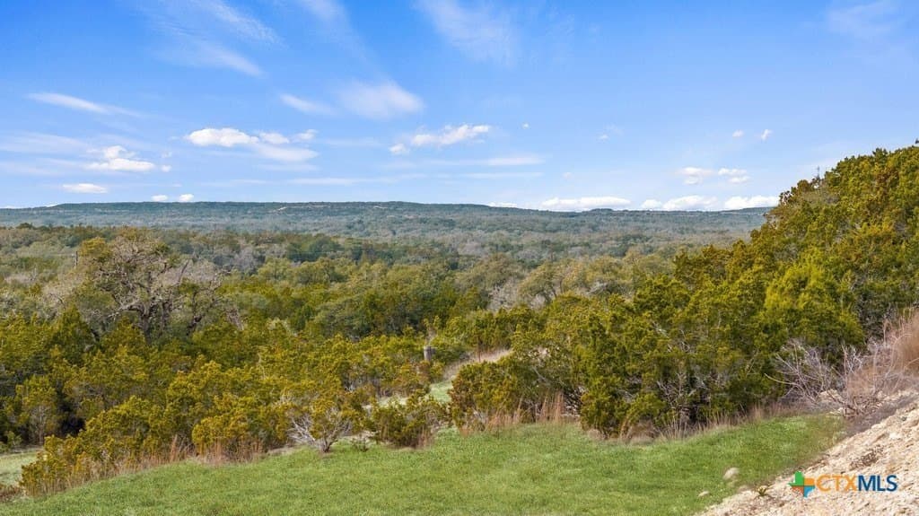 11.74 acres in Hays County - photo 2