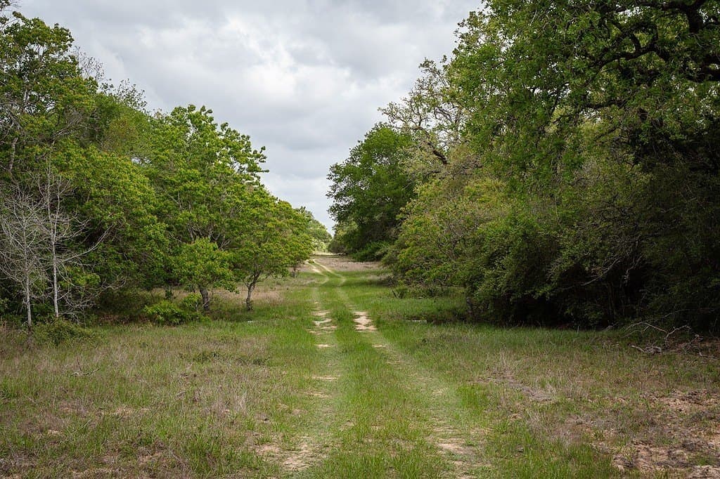 604.93 acres in Lavaca County - photo 20