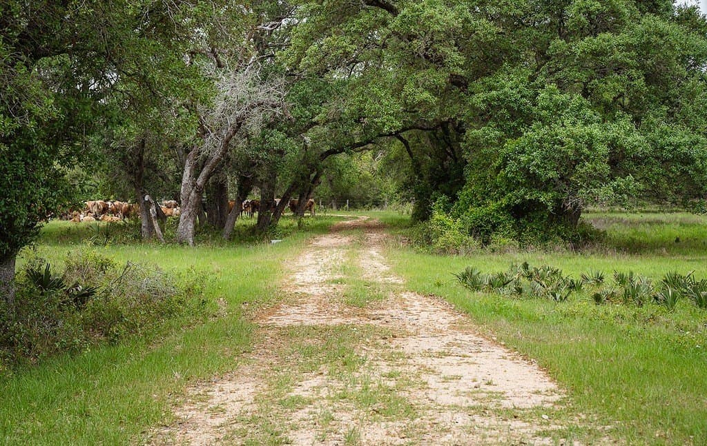 604.93 acres in Lavaca County - photo 21