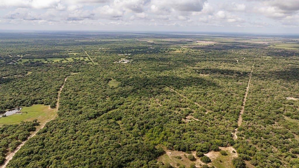 604.93 acres in Lavaca County - photo 7