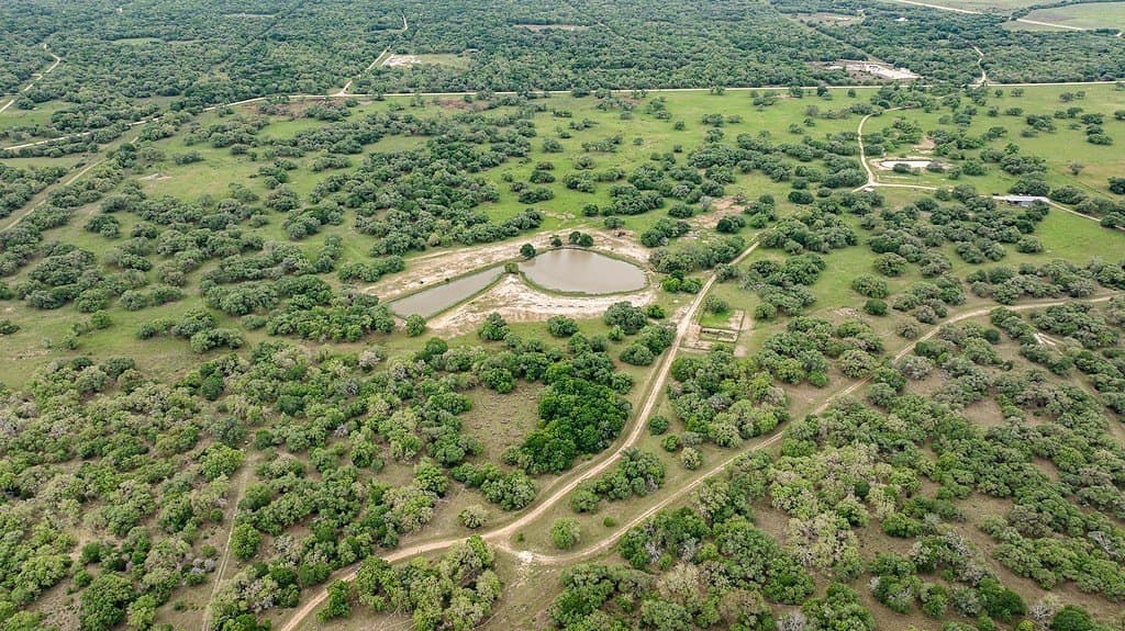 604.93 acres in Lavaca County - photo 9