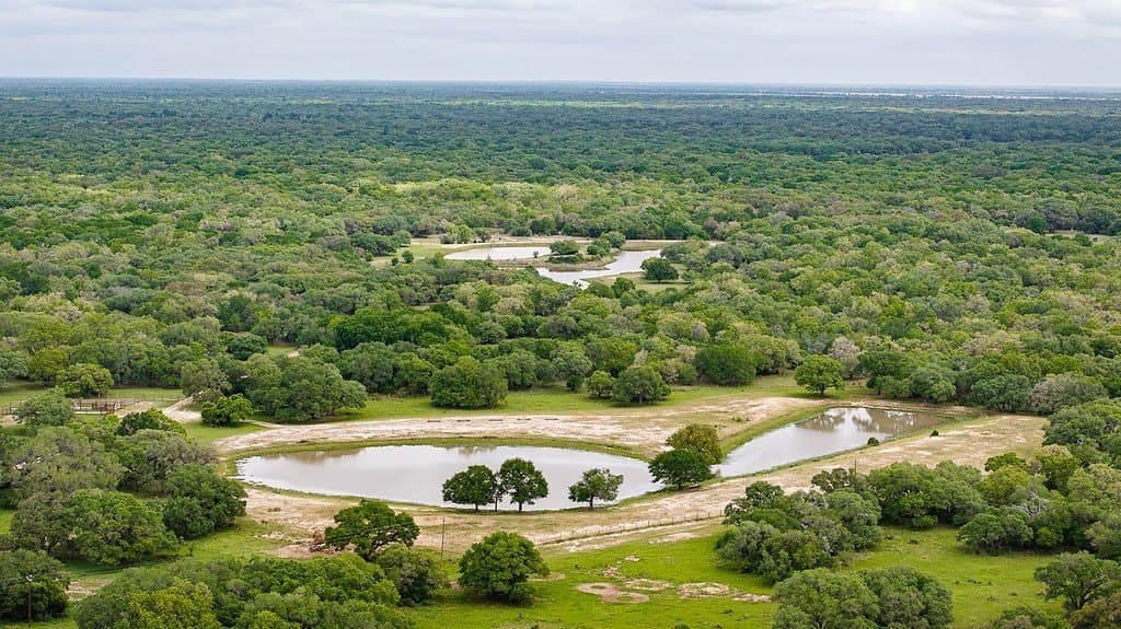 604.93 acres in Lavaca County - photo 8