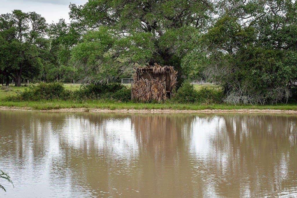 604.93 acres in Lavaca County - photo 19