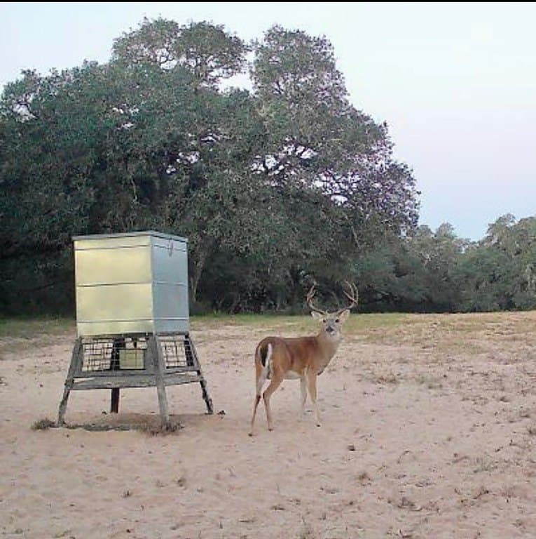 604.93 acres in Lavaca County - photo 16
