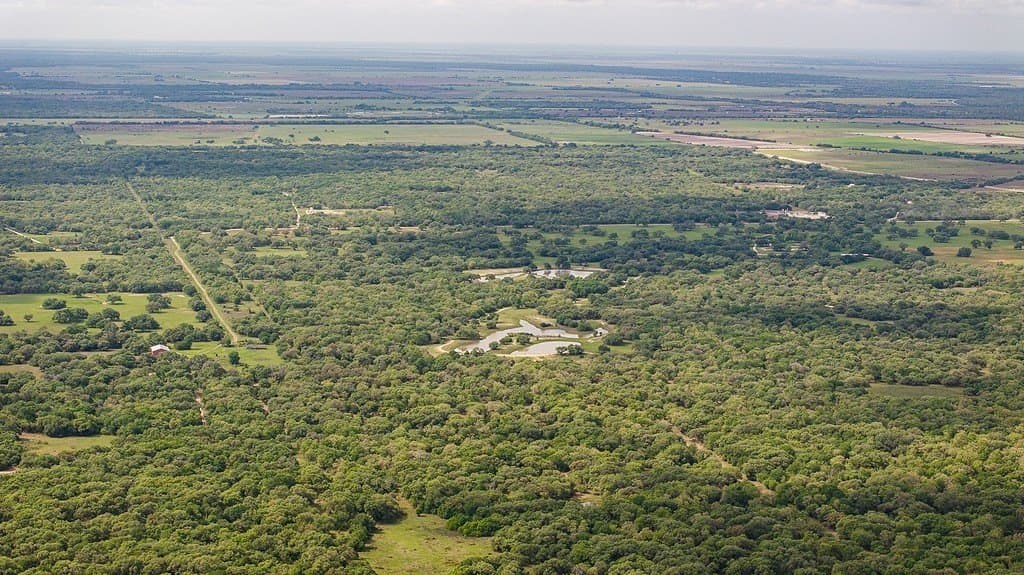 604.93 acres in Lavaca County - photo 6