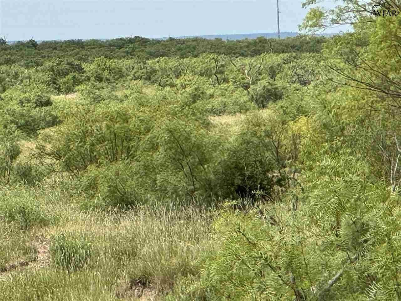 47.9 acres in Baylor County - photo 9