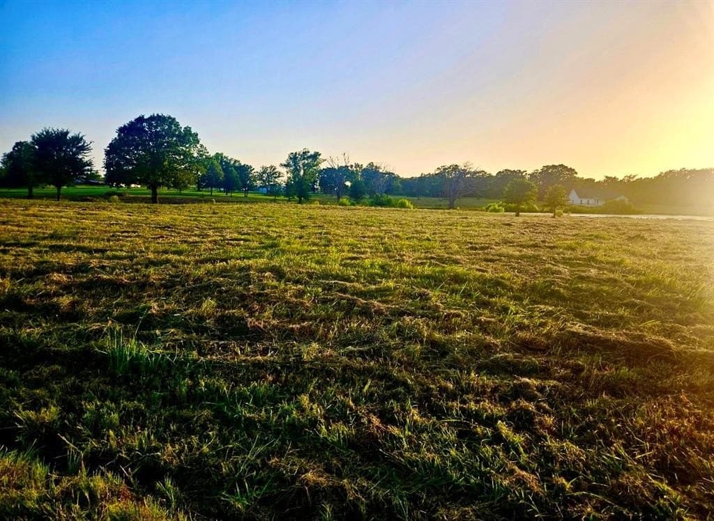 2.2 acres in Hopkins County - photo 8