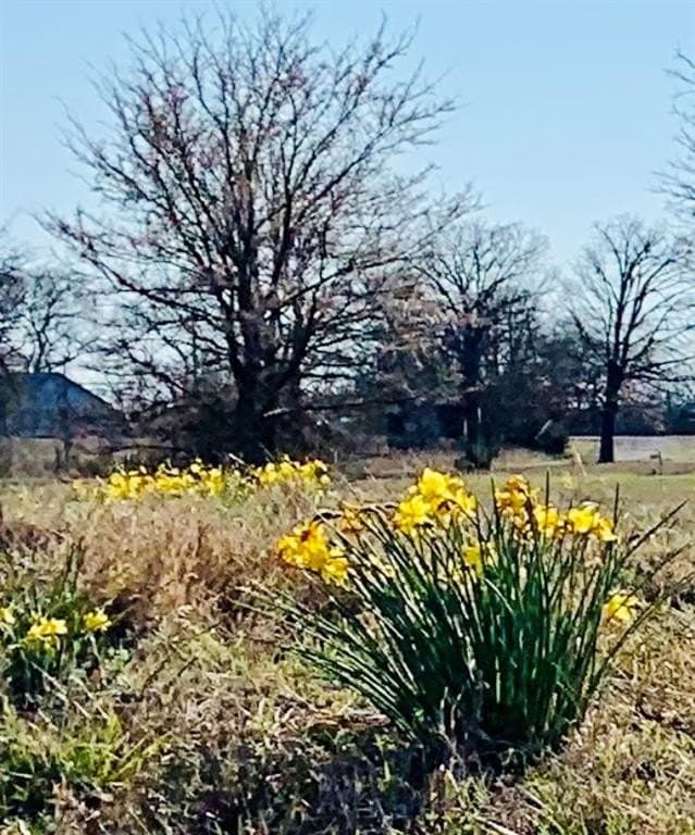 2.2 acres in Hopkins County - photo 9