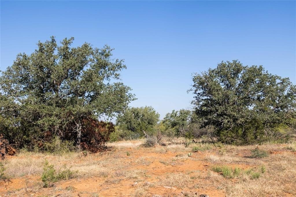 445 acres in Coleman County - photo 37