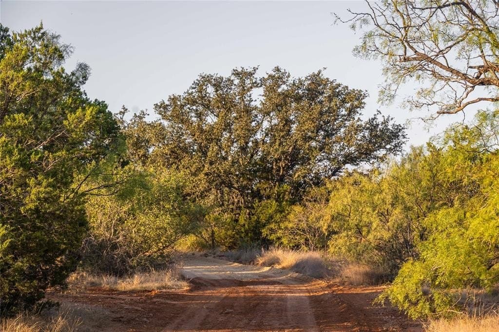 445 acres in Coleman County - photo 32