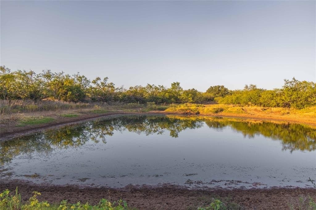 445 acres in Coleman County - photo 27