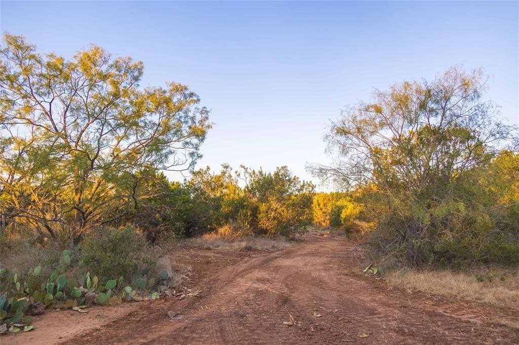 445 acres in Coleman County - photo 23