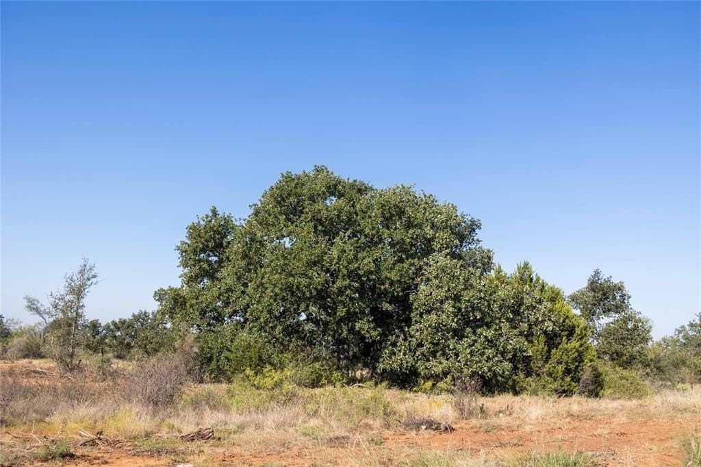 445 acres in Coleman County - photo 40