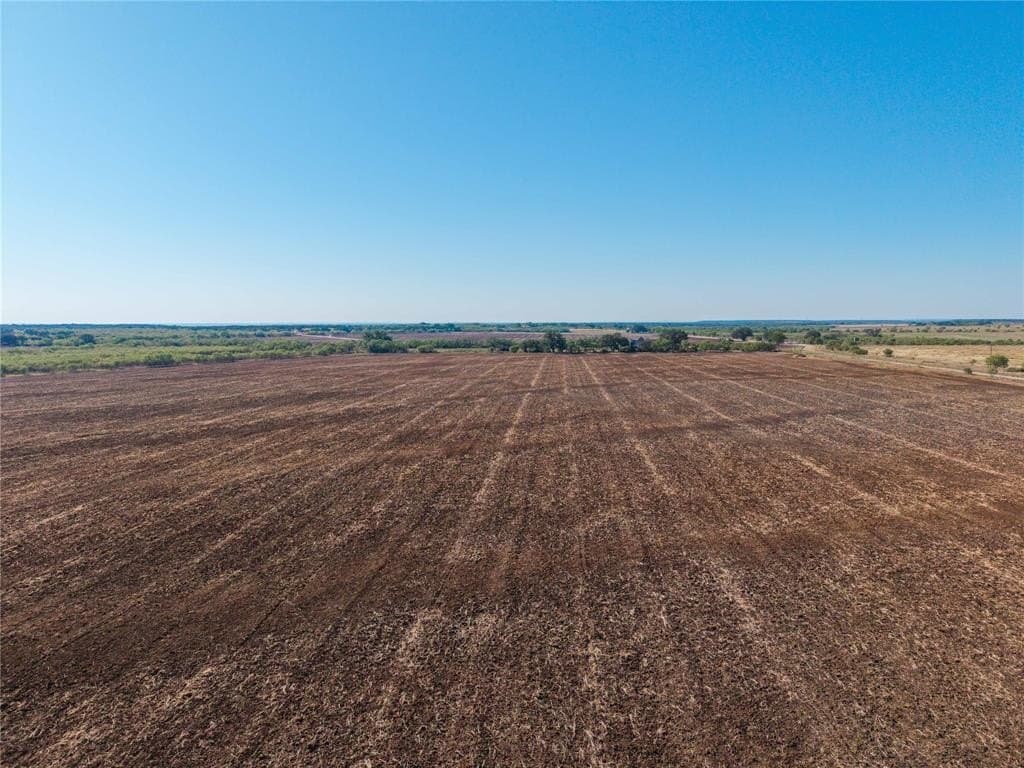 445 acres in Coleman County - photo 8